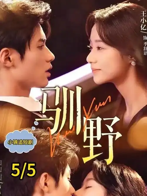 山月不知心底事 古装剧在线播放封面